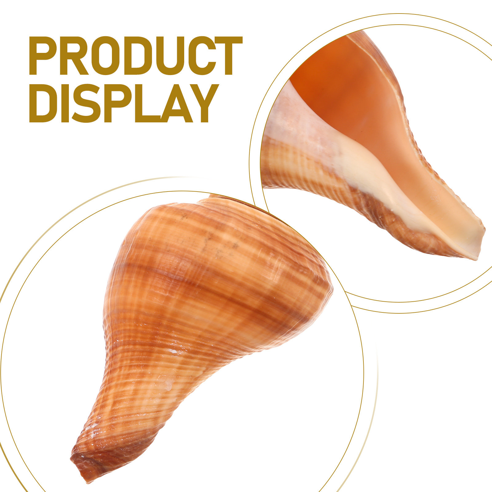 5Pcs Natural Conch Shell Whist - Emergency Whistle Loud recensie en prijs